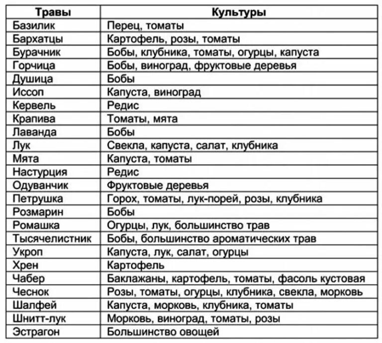 Таблица совместимости на грядке овощных культур. Таблица совместимости на грядке овощных культур. Грядки для зелени. Соседство овощей на грядках таблица. Совместимость плодовых деревьев и кустарников в саду таблица.