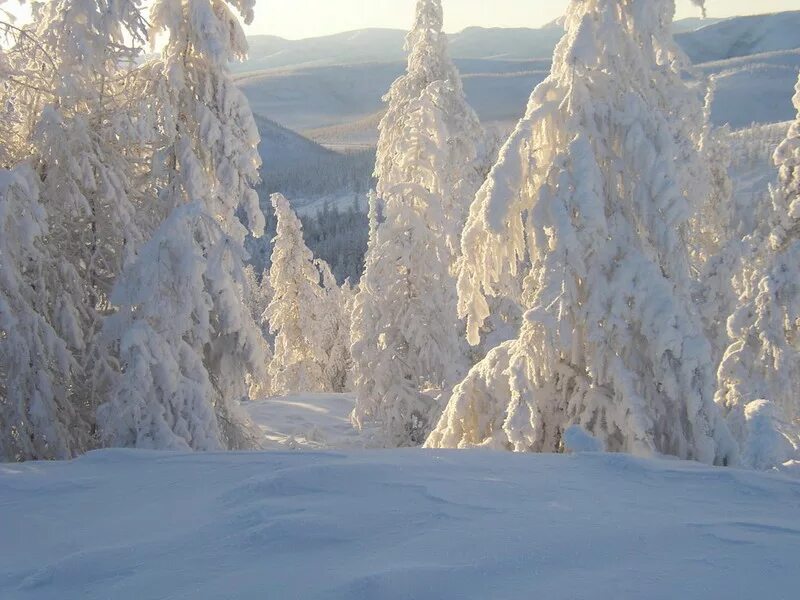 Оймякон томтор. Оймякон горы. Северный полюс. Оймякон полюс холода северного полушария. Полюс холода оймякон, мороз.