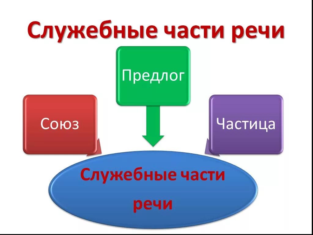 Что общего у предлога и союза. Служебные части речи. Союзы и частицы в русском языке 3 класс. Предлоги Союзы частицы. Части речи Союз предлог частица.