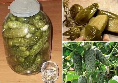 Соленые огурцы на зиму под пластмассовые крышки