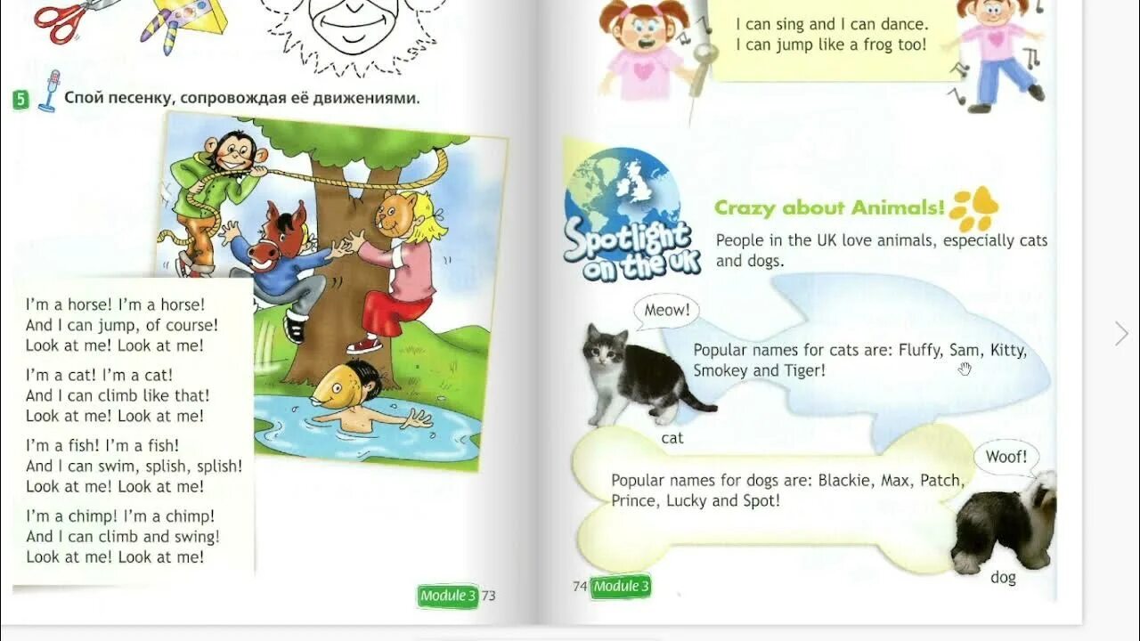 Спотлайт 2 часть 2 стр 23. My animals Spotlight 2 класс. 2 Класс урок animals. Crazy about animals 2 класс. Спотлайт 2 класс Аnimals.