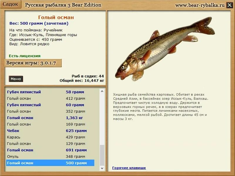 Русская рыбалка 3 база озеро лещ. Долгожитель среди рыб. Рыбалка 3 волга. Русская рыбалка 3 волга село богатырь ямы. Загиб удочки в русской рыбалке 3.