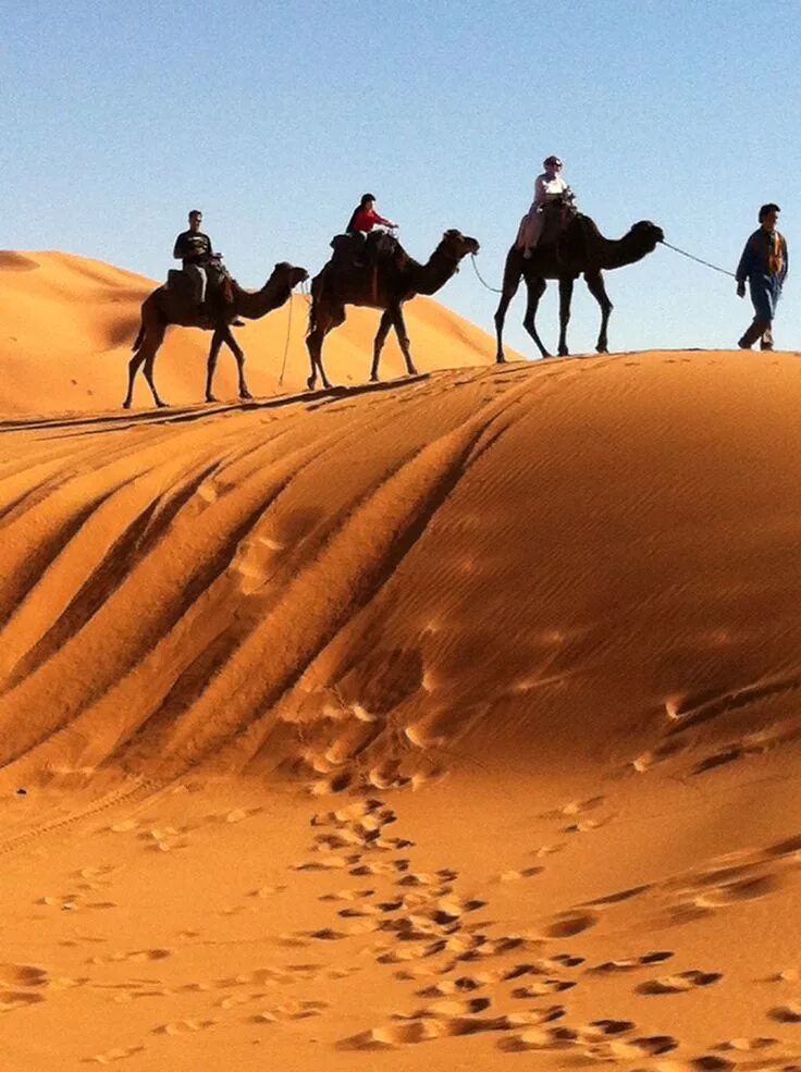 Merzouga Марокко. Сахара Марокко Оазис. Пустыня караванщики Оазис. Барханы Оазис Саудовская Аравия. Арабский оазис