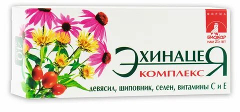 Биокор эхинацея
