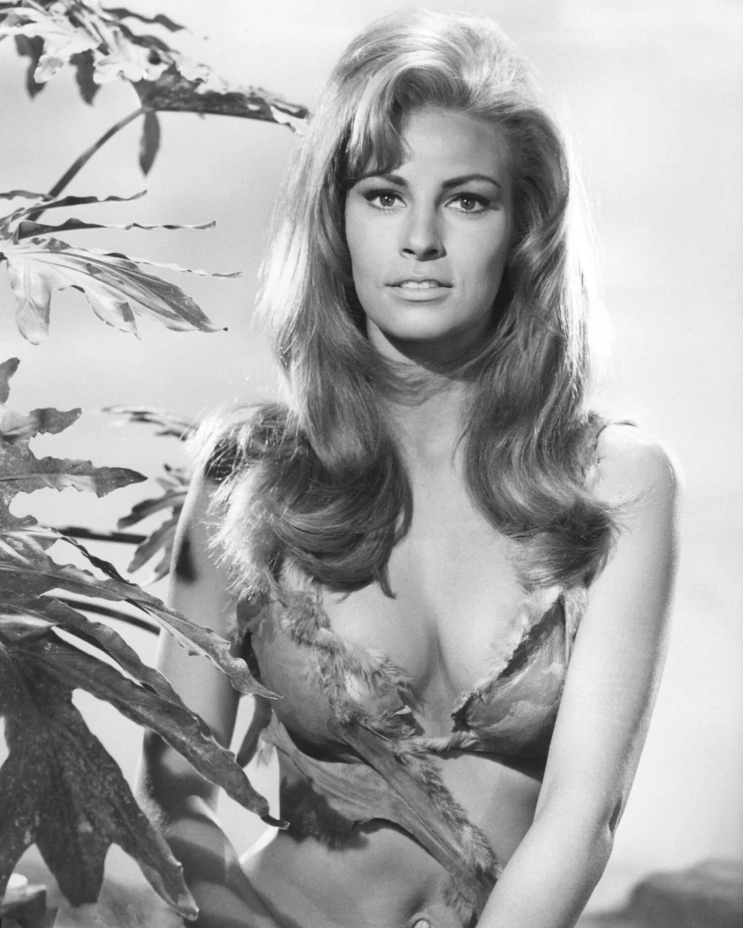 звезды 70 х годов