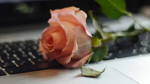 Одноклассники на столе компьютера