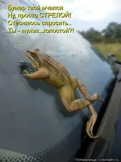 В такси где ты укрылся от дождя