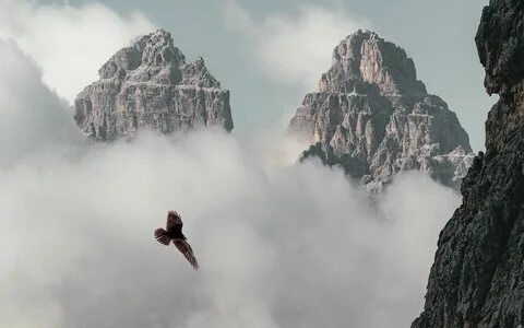 Mountain fly 2