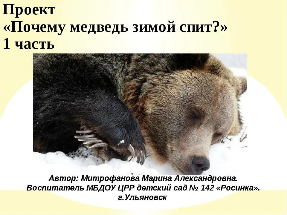 Почему медведь любит. Медведь зимой спят в спячку.