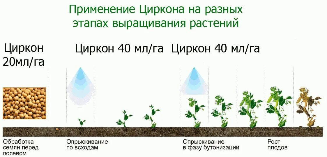 Циркон для растений. Фазы роста растений. Циркон препарат для растений. Циркон подкормка. Как разводить циркон для комнатных растений