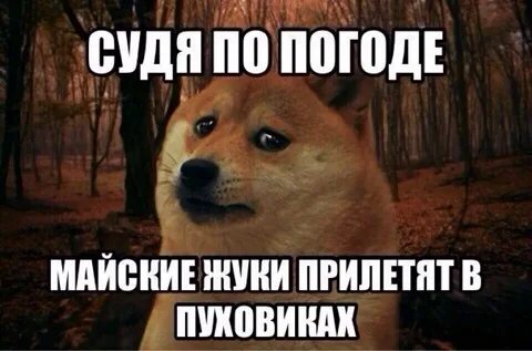 Мемы про майские праздники