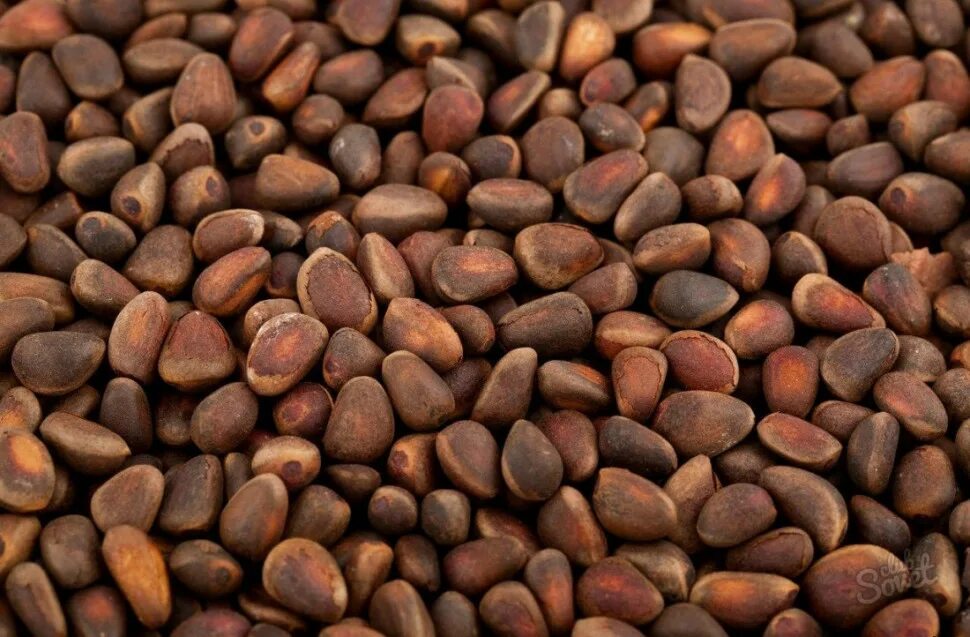 Кедровый орех. Кедровый орех 1 кг. Ядро кедрового ореха. Ядро кедрового ореха 500г. Кедровый орех.