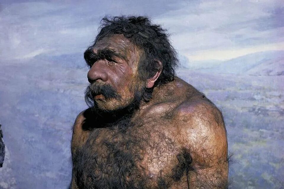 Неандерталец (homo Neanderthalensis). Хомо сапиенс Денисовский человек неандерталец. Кроманьонцы и неандертальцы и денисовцы. Денисовский человек и хомо сапиенс. Полиолит