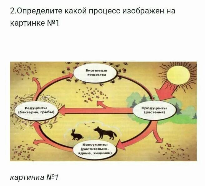 Какая экономическая деятельность процесс изображена на фотографиях. Определите на картинке какой процесс. Какой процесс показан на картинке. Какой процесс показан на рисунке. Какой глобальный процесс здесь изображен.