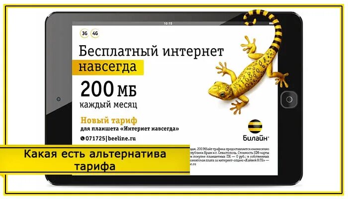 Билайн интернет ставропольский край. Интернет навсегда. Бесплатный интернет навсегда. Билайн тарифы для планшета. Билайн Ставропольский край.