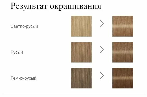 Краска для волос фундучного цвета. Light ash brown цвет волос. Светло русый и темно русый сравнение. Холодный русый цвет волос. Темно русый на английском.