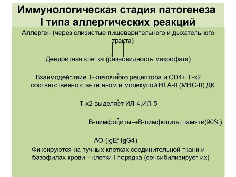 Основа аллергии