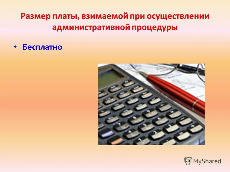 Административные процедуры. Реализация административных процедур