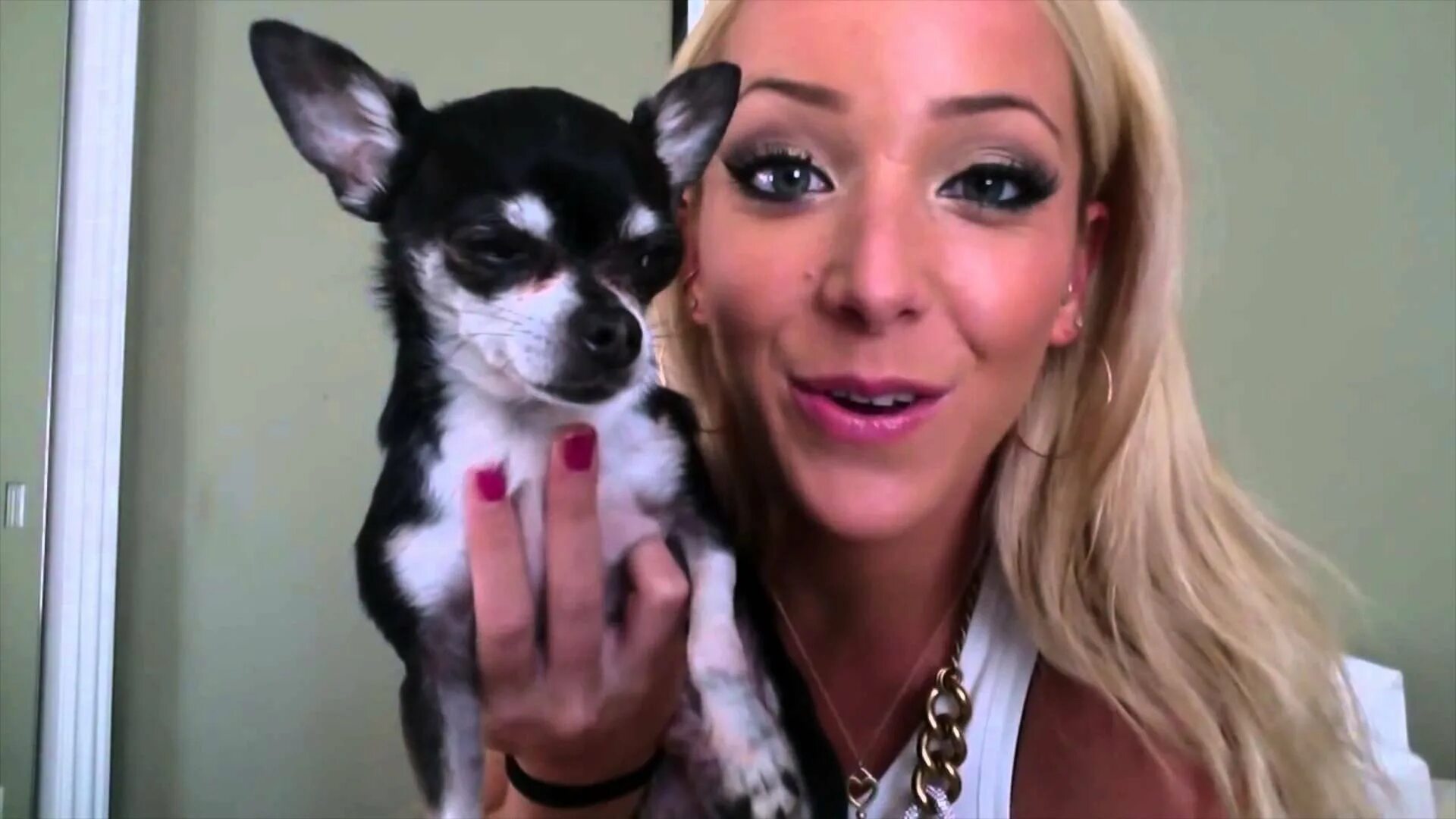 Jenna dog. Дженна пуппи. Дженна филлипс онлифанс. Дженна филлипс. Марблс собака дженны марблс.