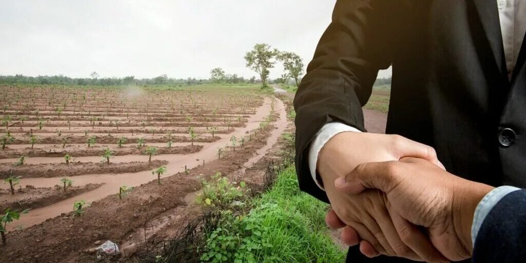 Фотография земли. Возможность предоставления земельного участка фото. Земельный пай. Приобретение земельного участка. Приватизация земельных участков.