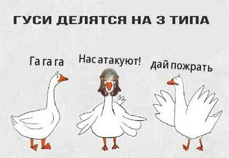 Гуси без матов