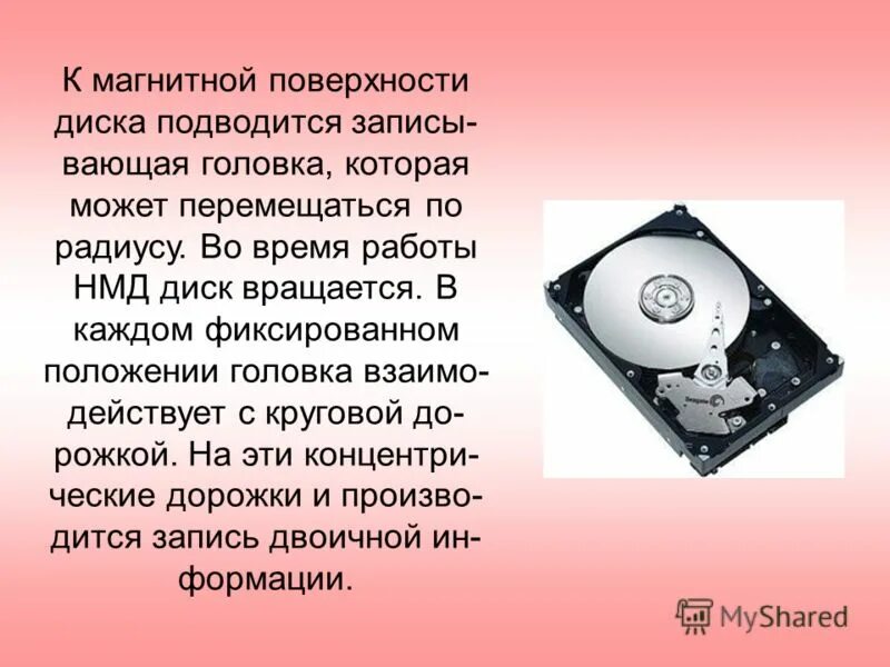 Диск щелкает и не определяется. Накопители на магнитных дисках. накопители на жестких магнитных дисках. накопитель на жестких магнитных дисках (нжмд). магнитные диски эвм.
