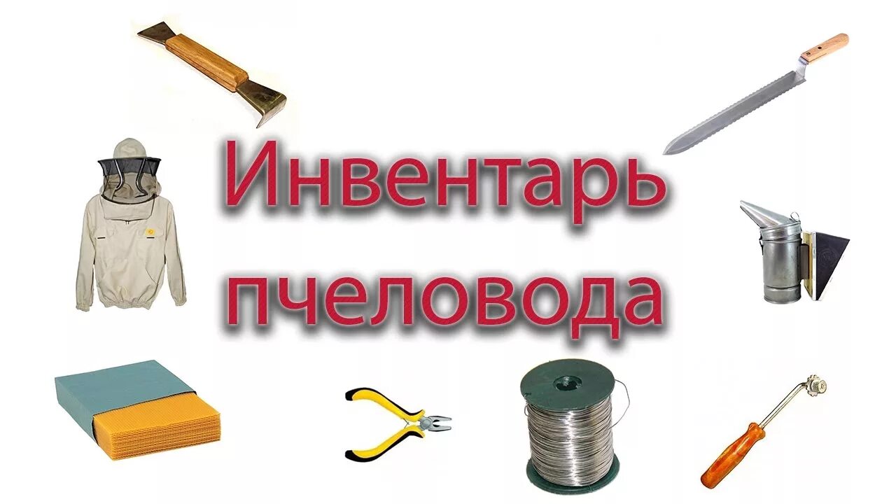 Какое оборудование используют пчеловоды