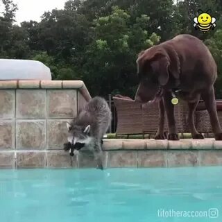 Видео прикол друга