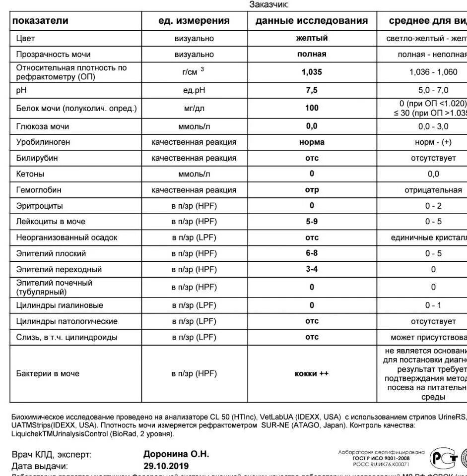 Белок в моче какая норма. Белок в моче 0.190. Белок в моче 0,04. Белок в моче 0.25 г/л. Белок в моче 0.350.