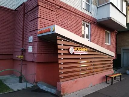 Любимчик казань