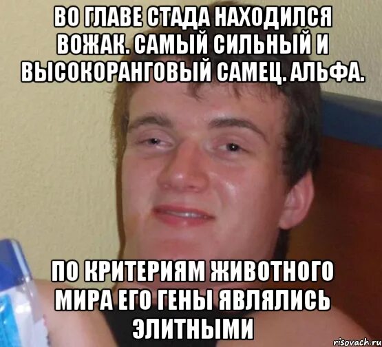 ВЫСОКОРАНГОВЫЙ самец. Альфа самец. Я трезвый Мем. Низкоранговый самец. Признаки сильного самца