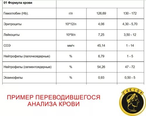 Анализ перевода. Анализ на немецком языке. Анализ на немецком языке. Анализ на немецком языке. Медицинские анализы на английском.
