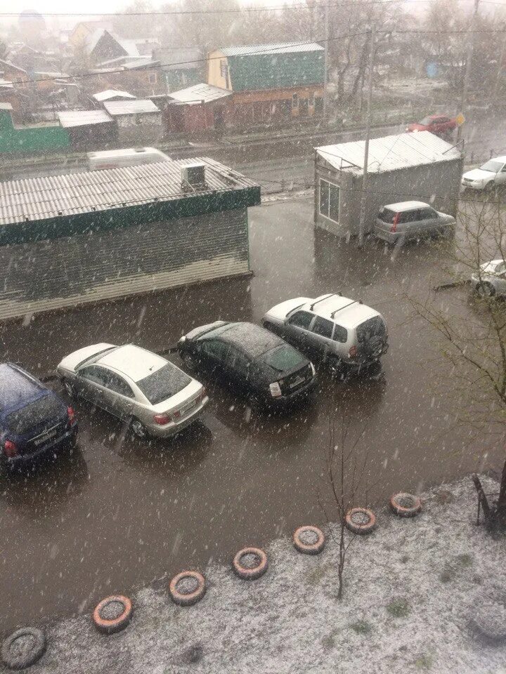 В Омске выпал снег. В Омске выпал снег сегодня. Снег в июне в Омске фотографии. Снегопад в Омске сегодня фотографии. В омске выпадет снег