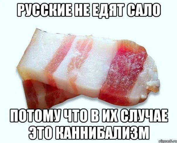 На ночь ем сало. Сало прикол. Хохлы любят сало. Русское сало.