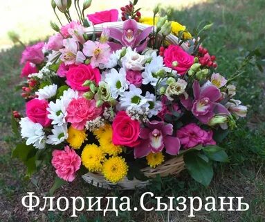 Цветы сызрань