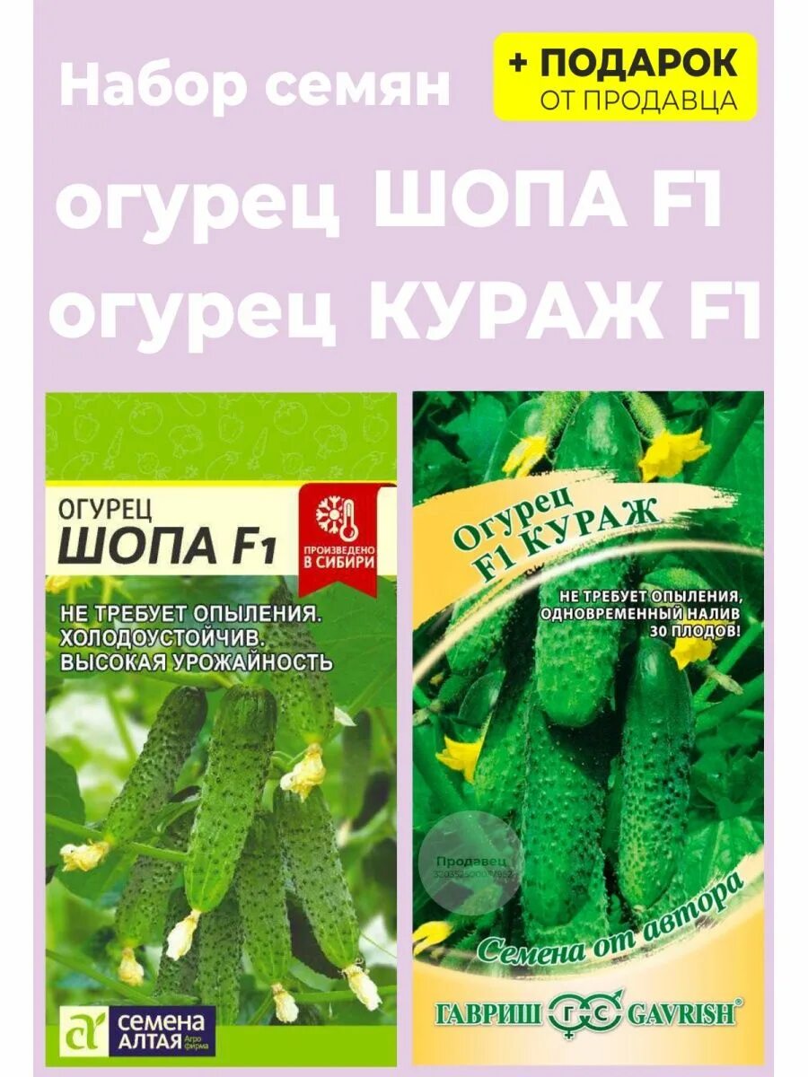 Алт/ 5 шт. Огурец шопа f1. Шопа огурцы отзыв. Огурец шопа отзывы фото. Шопа огурцы отзыв.