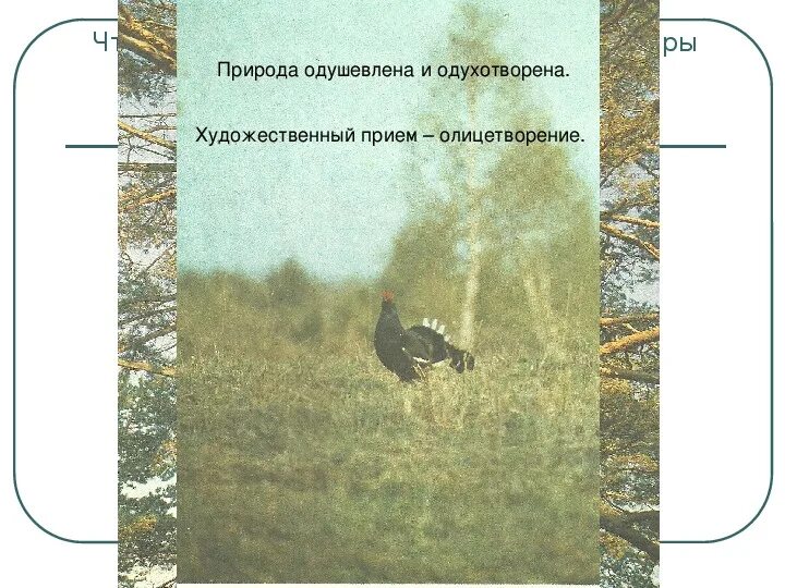 Автор одушевляет природу как называется художественный прием