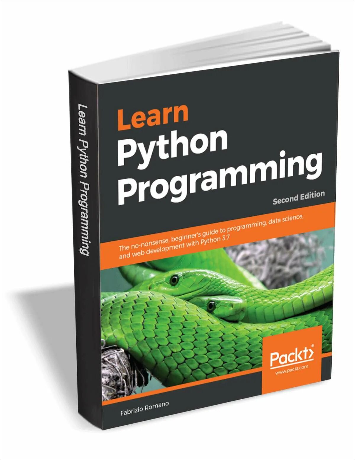 Разработка языка python. Python. питон для чайников. программирование на python. программирование на питон книга.
