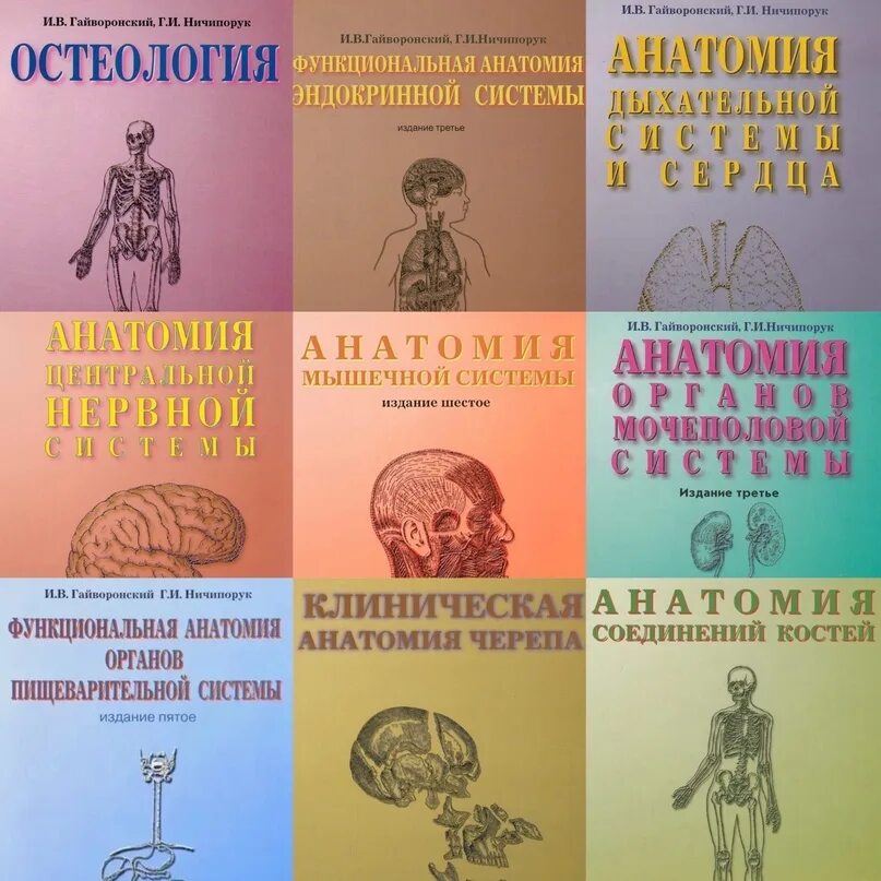 Методички по анатомии. Гайворонский анатомия методички. методички гайворонского по анатомии пищеварительная система. гайворонский дыхательная система. анатомия человека гайворонский.
