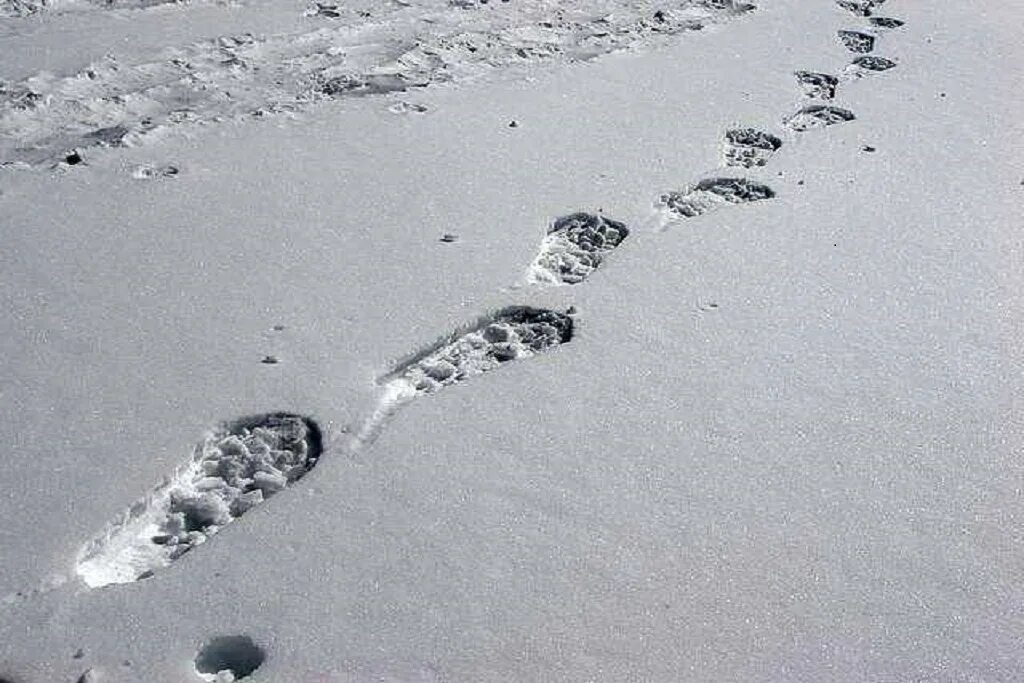 След м. Следы человека на снегу. Дорожка следов на снегу. Следы ног на снегу. Следы сапог на снегу.