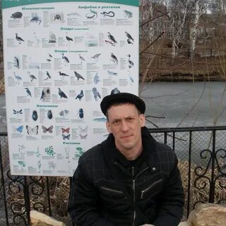Китик цифровой