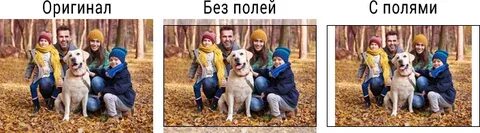 Без полей
