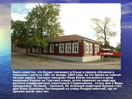 Код ельца