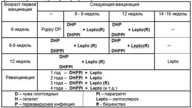 Первые прививки щенку возраст. Схема прививок Нобивак для собак. Схема прививок Nobivac для собак. Нобивак для собак график прививок. Схема прививок Nobivac для щенков.