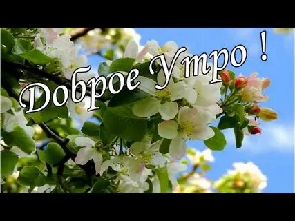 Отк добрый