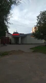 Пенсионный бор
