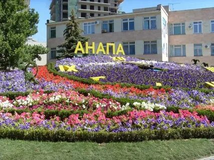 Цветы анапа