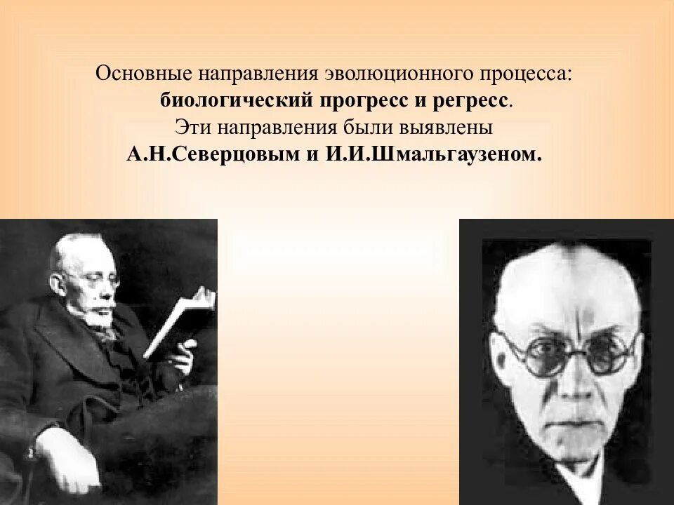 Северцов биологический прогресс. Основные направления эволюции Северцов. Шмальгаузен о направлениях эволюции. Основные направления биологического процесса.