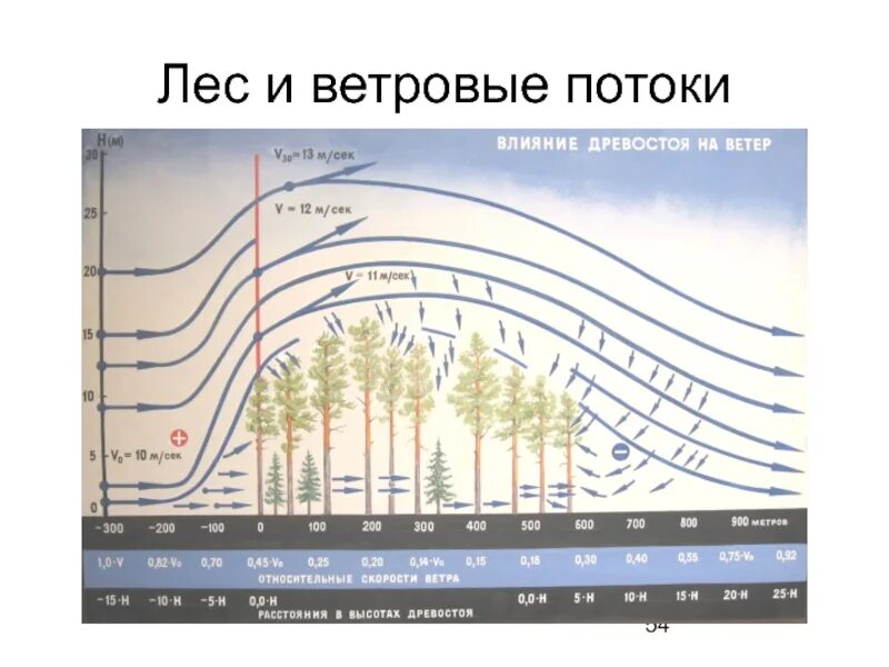 Высокие дневные температуры сильные ветры. Влияние ветра на лес. Скорость ветра на разных высотах. Изменение ветра с высотой. Изменение скорости ветра.