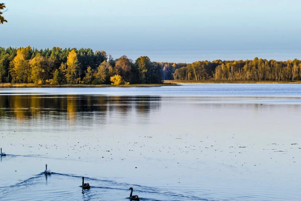 виштынецкое озеро калининградская. озеро виштынец. озеро виштынец. озеро виштынец калининградская область. озеро виштынец калининградская область.